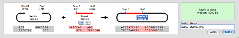 youtube snapgene infusion cloning